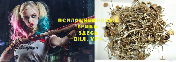хмурый Вяземский