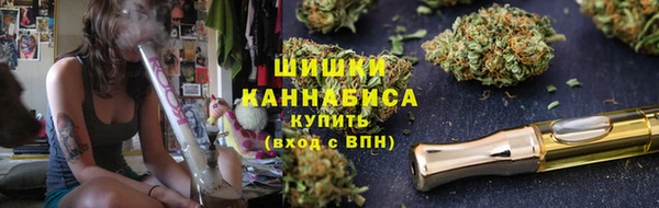 хмурый Вяземский