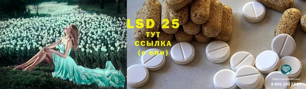 хмурый Вяземский