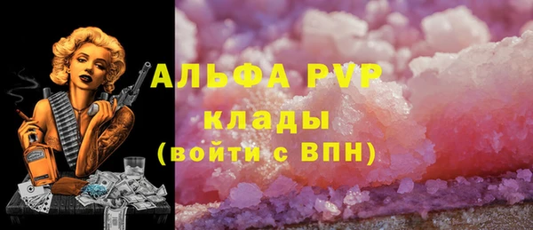хмурый Вяземский